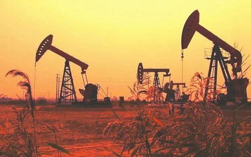 受到油市沖擊,opec 可能會(huì)考慮進(jìn)一步減產(chǎn)